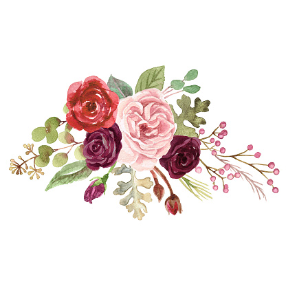 Watercolor Marsala Roses Stock Illustration - Download Image Now - Flower,  Watercolor Painting, Wedding Invitation - iStock