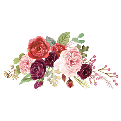 Watercolor Marsala Roses Stock Illustration - Download Image Now - Wedding  Invitation, Flower, Watercolor Painting - iStock