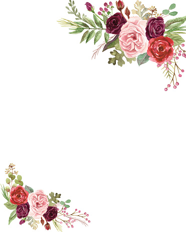 Watercolor Marsala Roses Stock Illustration - Download Image Now - Flower,  Invitation, Rose - Flower - iStock