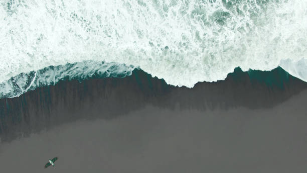 istock Ocean foam and black sand beach 954847736