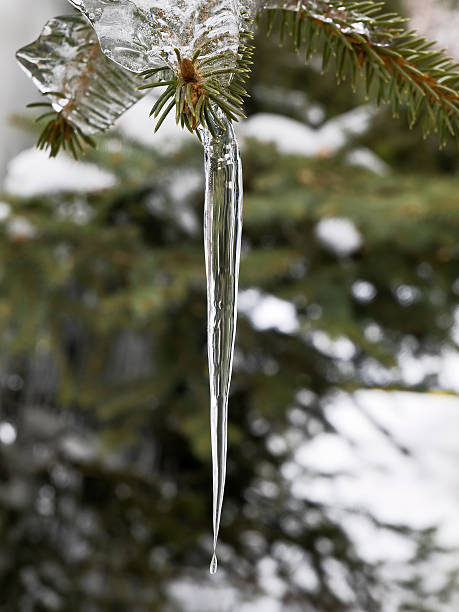 Icicle with frozen drop stock photo