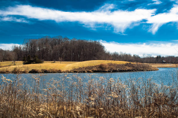 istock Island on the lake 954858562