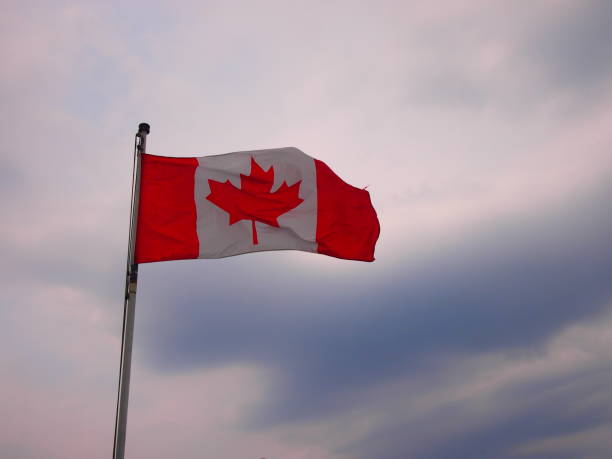 istock The Canadian flag downwind 954866894