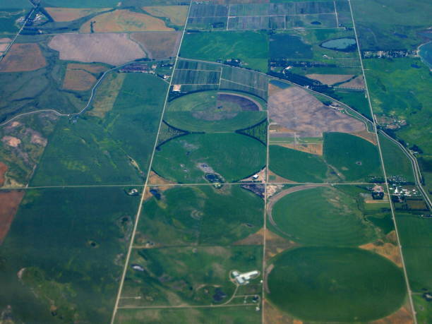 istock Agricultural fields of the Canadian prairies 954867342