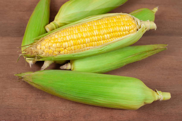 istock Organic fresh Corncobs or corn ears on wood background ,food 954880382