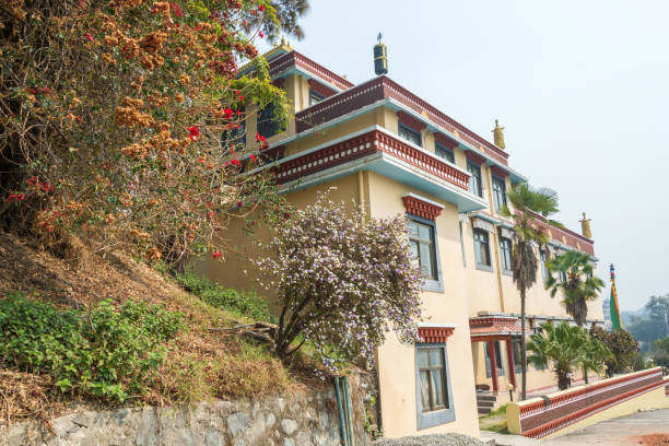 Flowering trees in the monastery of Copan, Nepal.