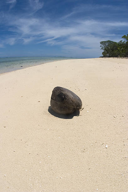 Coco Beach - foto de stock