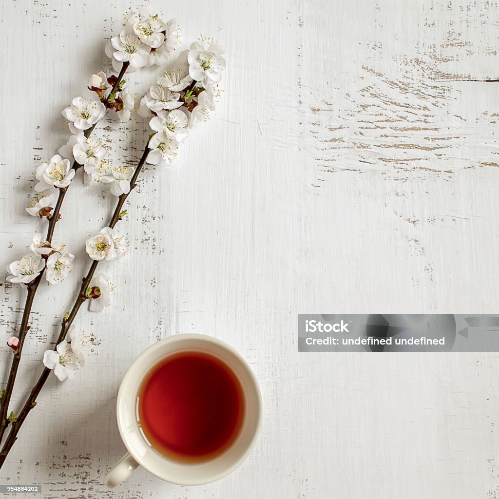 Cup of black tea and branches of blossoming apricot on old wooden shabby background. Copy space. Cup Stock Photo