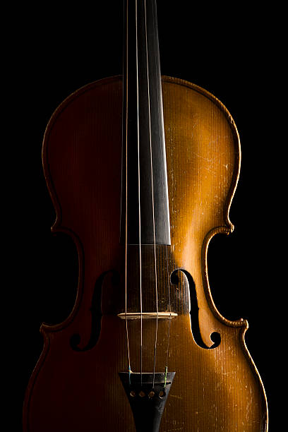 istock corpus of old violin 95489155