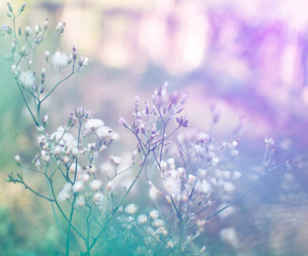 istock vintage flower paper background 954893382