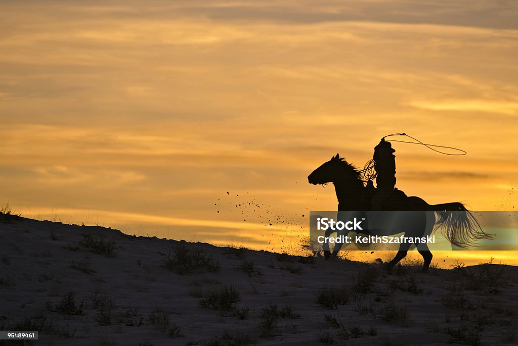 Cowboys Ride'em - Foto de stock de Animal doméstico libre de derechos