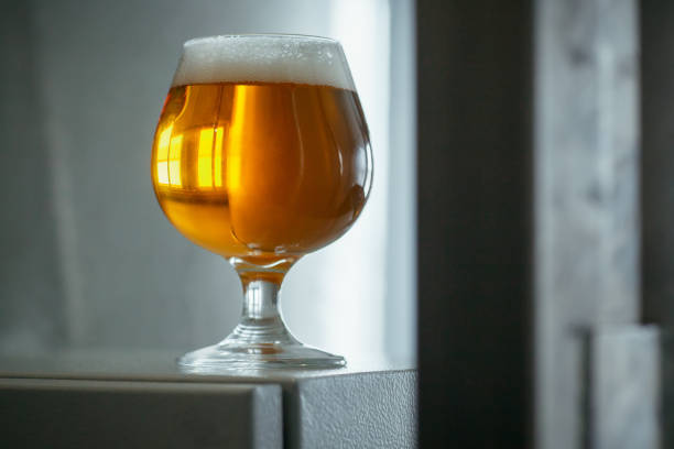 Small snifter glass of light beer standing on brewing equipment in a brewery