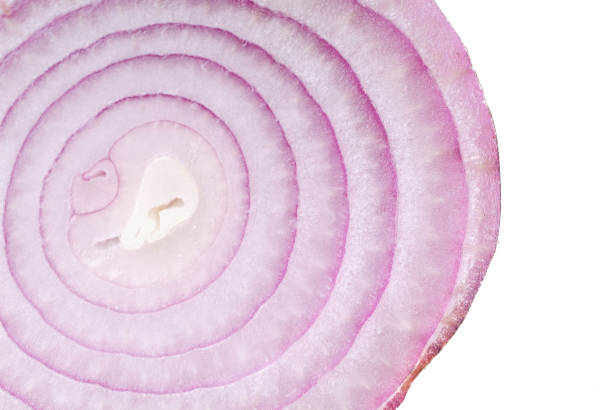 istock Onion. red onion on the background 954900090