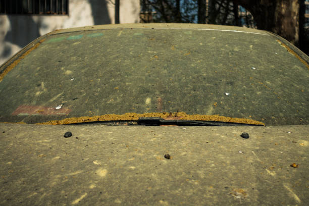 istock A Car was Covered with Dust in the Street 954900344