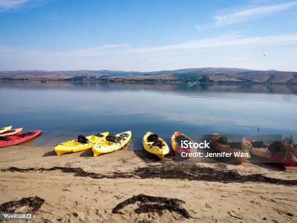 Colorful Kayaks Along The Sandy Shoreline At Point Reyes Tomales Bay Marin County California Stock Photo - Download Image Now