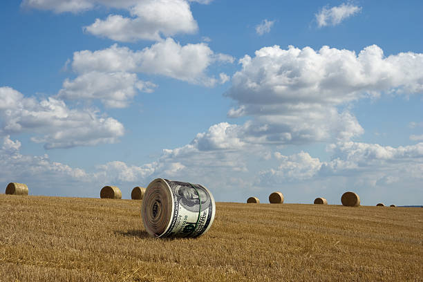 crop dollar  hay field stock pictures, royalty-free photos & images