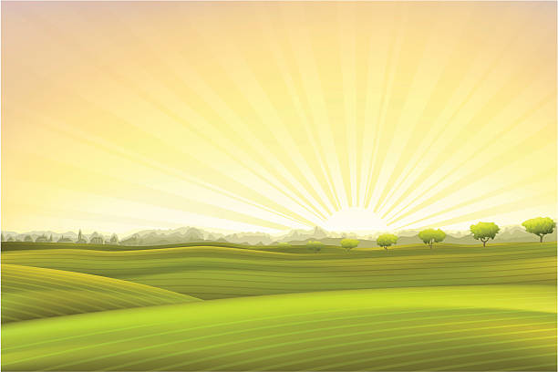 Evening summer pastoral scenery vector art illustration