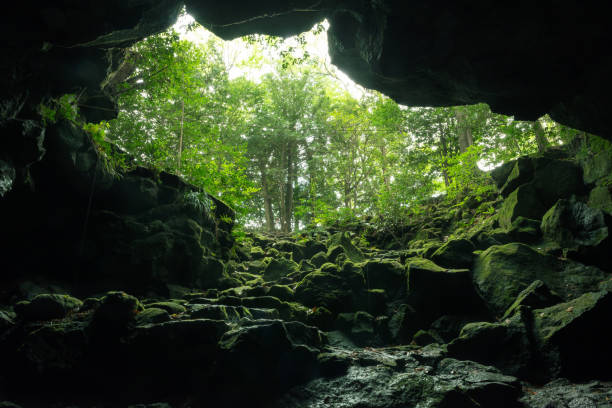 istock Cave at the foot of Mount Fuji 954913812