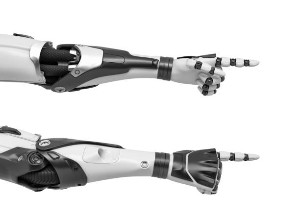 istock 3d rendering of two robots hands with pointing fingers as shown from the palm side and the back of the hand 954914270