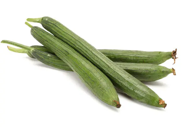 Fresh ridge gourd Luffa aegyptiaca isolated on white background