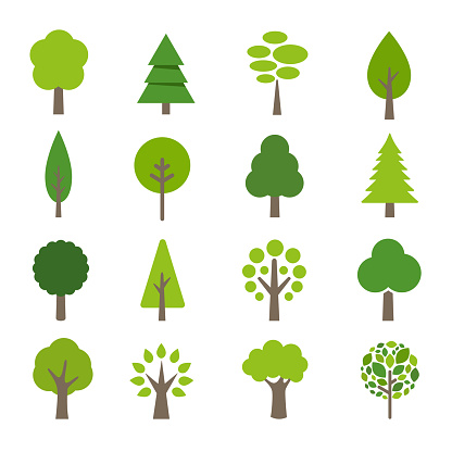 Collection of trees illustrations. Can be used to illustrate any nature or healthy lifestyle topic.