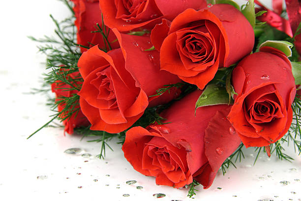 Close up of a red rose bouquet with water droplets stock photo