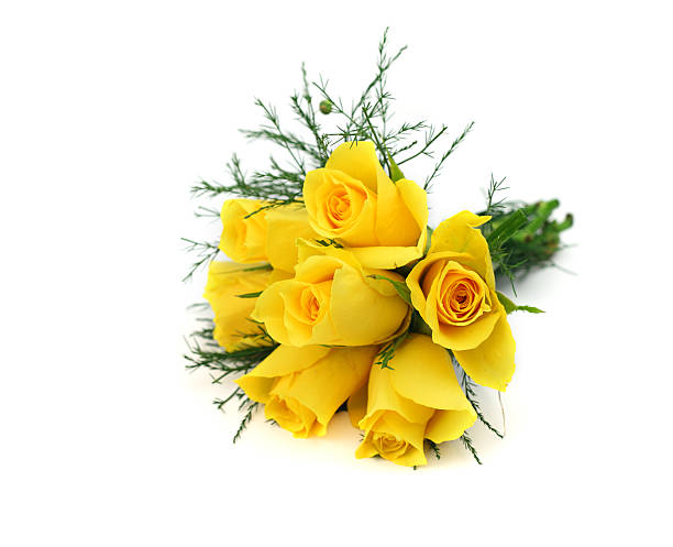 Yellow rose bouquet isolated on white.  english rose stock pictures, royalty-free photos & images