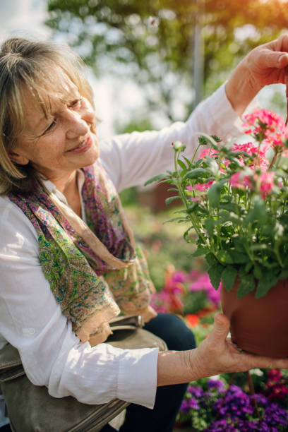 istock Senior Woman Grocery Shopping 954920134