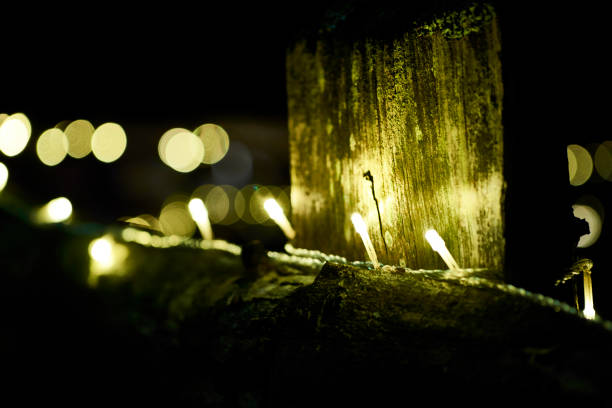 istock Christmas lights in winter 954924160