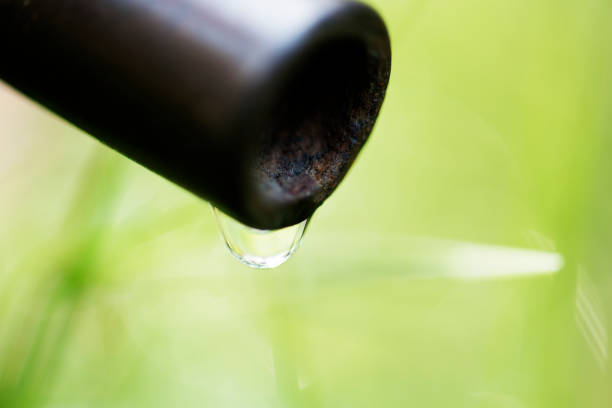 istock Closeup of water drop in nature 954929216