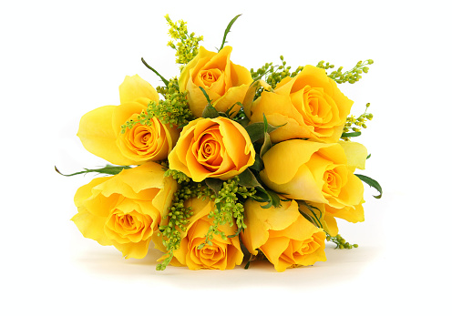 Background of yellow Roses