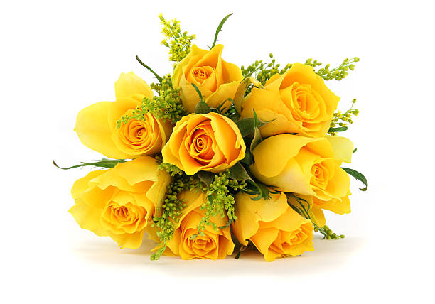 żółte róże bukiet na białym tle, widok z przodu - english rose zdjęcia i obrazy z banku zdjęć