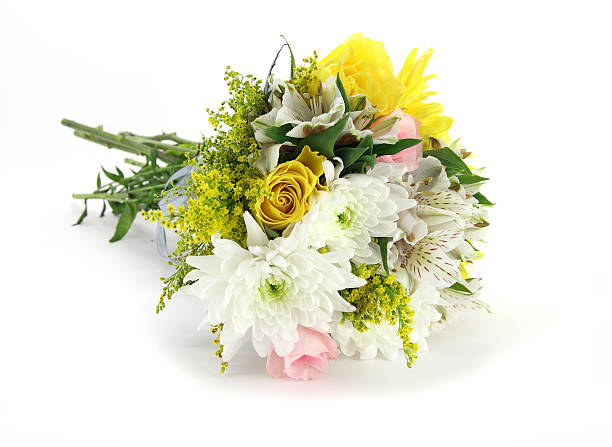istock Yellow, white and pink cottage arrangment isolated. 95492998