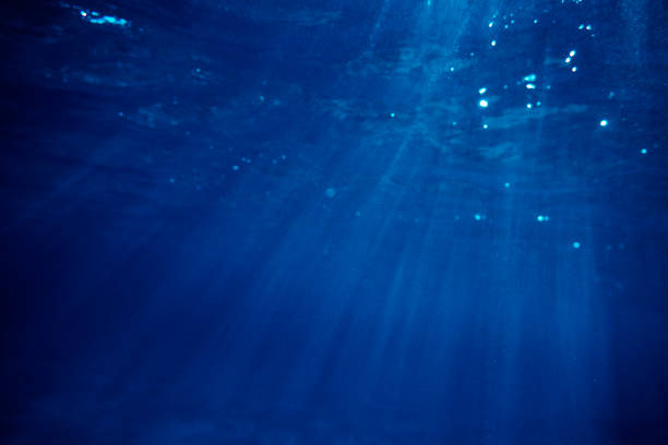 istock sunbeams in the sea 954931800