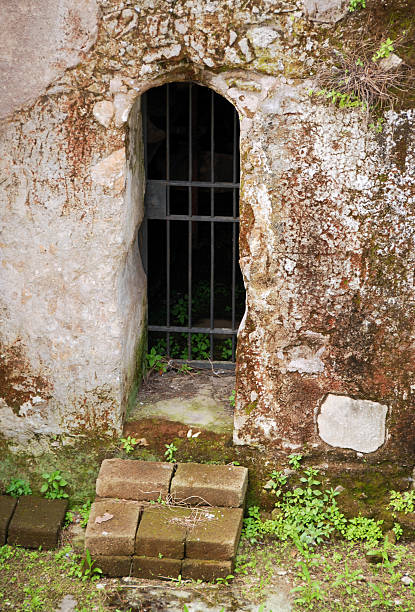 istock antique entrance looking like a dungeon 95493202
