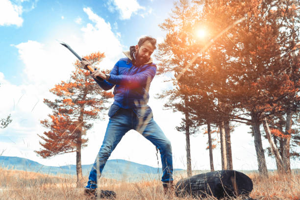 istock Man cutting wood in forest 954933158