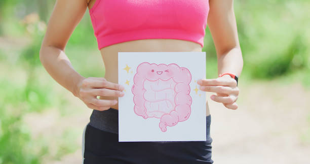 woman take intestine board sport woman take intestine board in the forest human intestine photos stock pictures, royalty-free photos & images