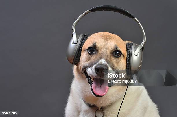 Doghouse Dj Stock Photo - Download Image Now - Dog, Radio, Headphones