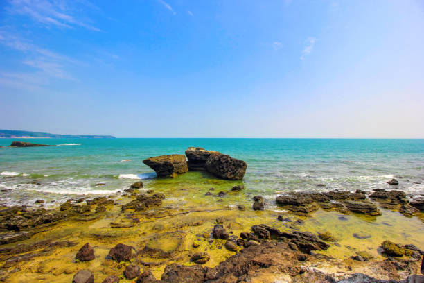 istock A volcanic rock by the sea. 954939458