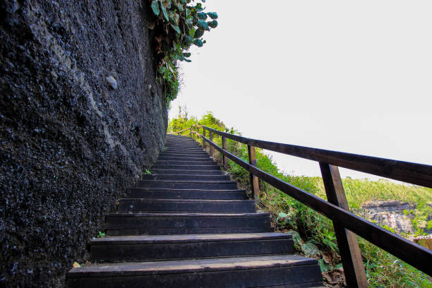 istock The staircase up the hill is in the forest. 954939730