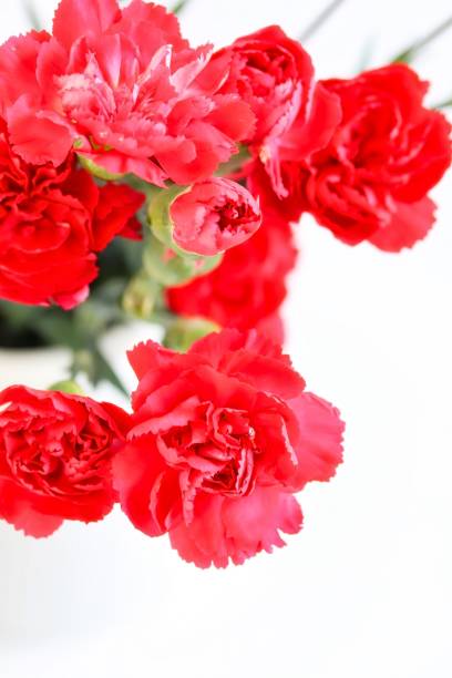 istock Bunch of Beautiful Red Carnation Flowers 954942134