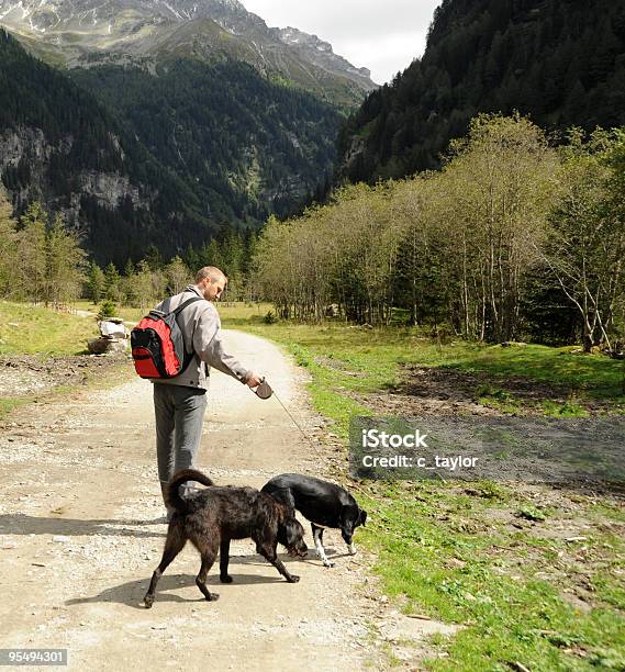 A Piedi I Cani - Fotografie stock e altre immagini di Adulto - Adulto, Adulto di mezza età, Alpi