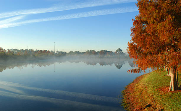 Contrail Reflection stock photo