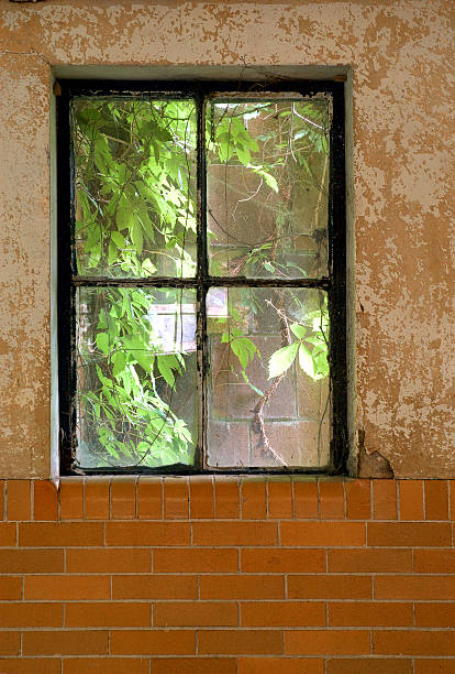 Window stock photo