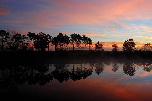 istock Silhouette of trees during sunrise 95495009