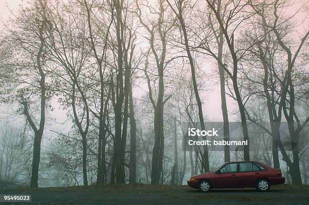 Автомобиль На Лесной Туман — стоковые фотографии и другие картинки Лес - Лес, Автомобиль, Поломка автомобиля