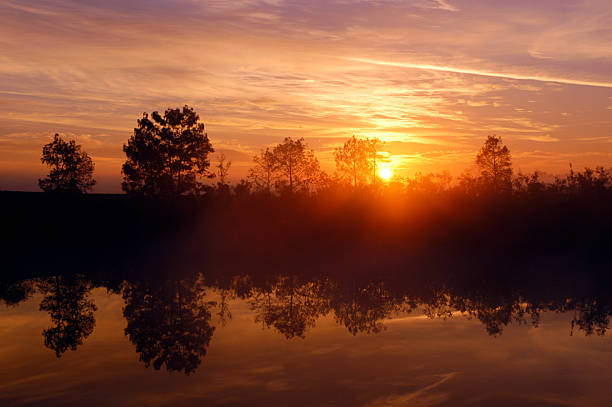 Golden Dawn stock photo