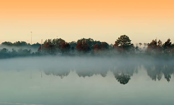 Autumn in Florida stock photo