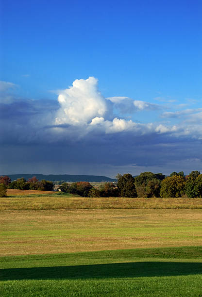 Puffy Cloud stock photo