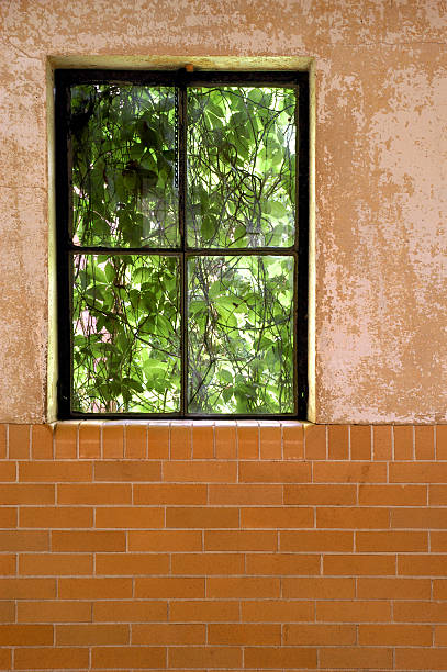 Window and Wall stock photo